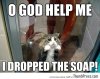 Shower-kitty.jpg
