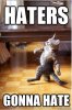 HATERS+GONNA+HATE_05d460_3317189.jpg
