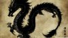 chinese_black_dragon-wallpaper-1920x1080.jpg