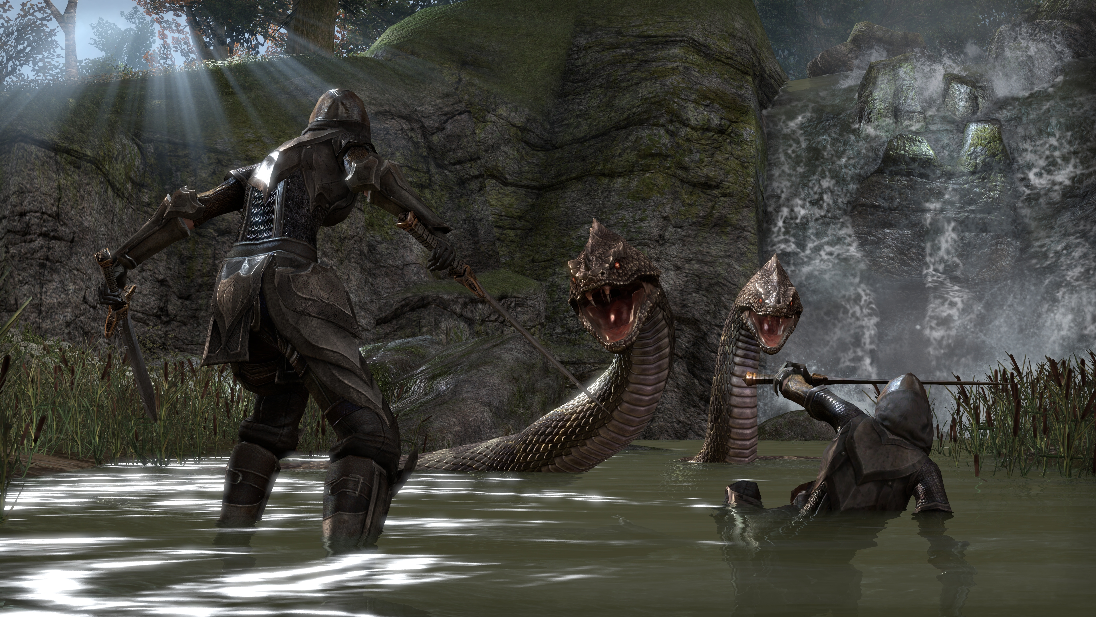The Elder Scrolls Online Fight With A Snake