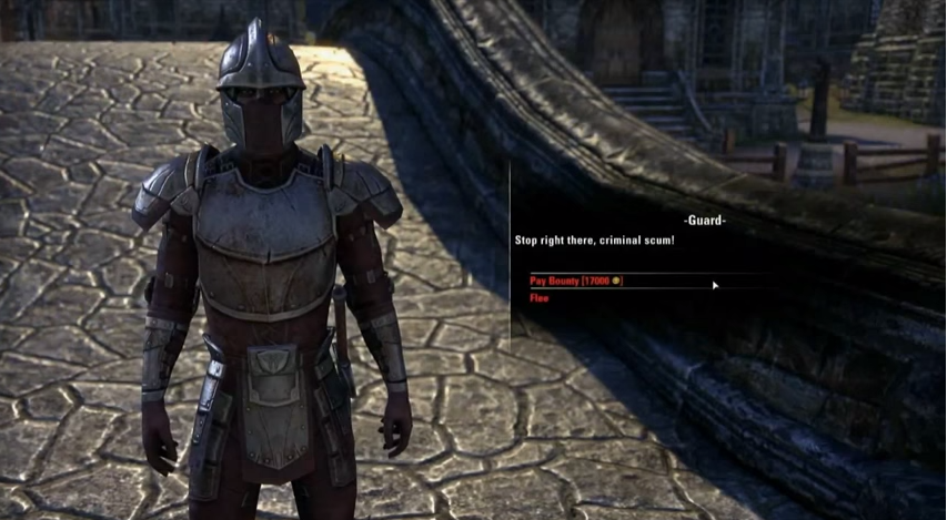 Guard Hands Out Harsh Justice in ESO 1.6