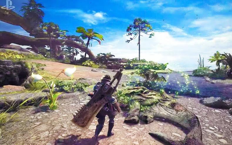 Nintendo Switch Could Get Unique Monster Hunter Game